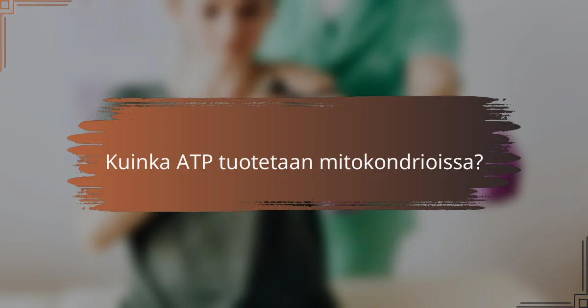 Kuinka ATP tuotetaan mitokondrioissa?